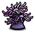 File:Firemane anemone.png