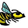 File:Wasp icon.png