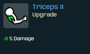 Triceps II.png