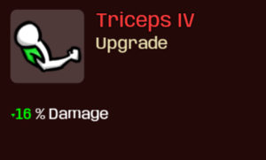 Triceps IV.png