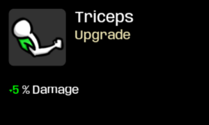 Triceps I.png